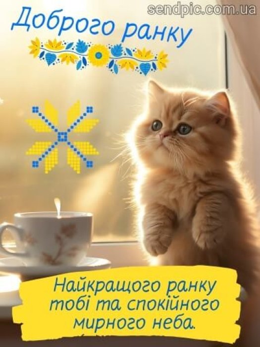 💗☕️Доброе Утро! Хорошего Дня!🌷Для Друзей! Заряд Позитива