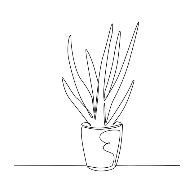 hand drawn doodle aloe vera illustration icon isolated