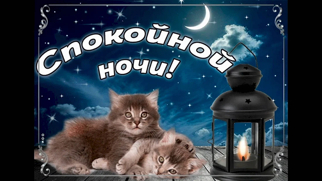 Спокойной ночи! Добрых снов! ~ Открытки 