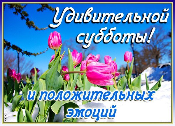 Картинки суббота доброе утро весна красивые с пожеланиями 