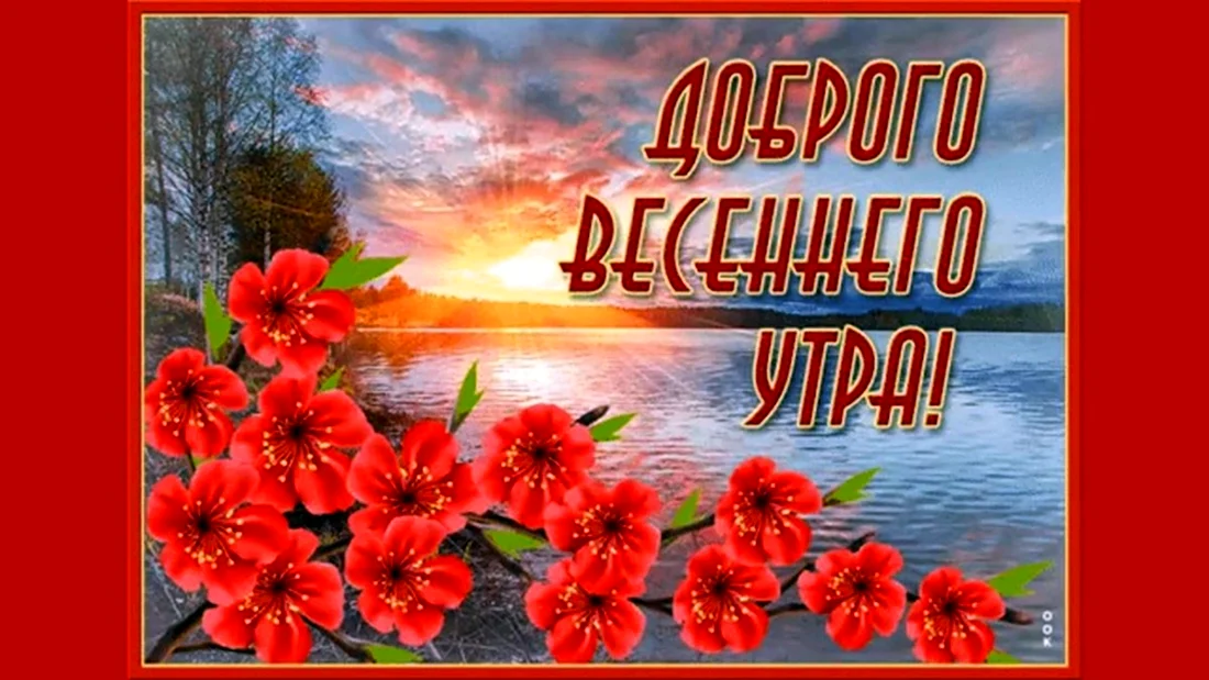 Картинки Доброе утро четверга