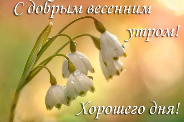 🌺🌿 ЯГОДКИ, ДОБРОЕ УТРО, ОТЛИЧНОГО ДНЯ! 🌿🌺 Весна и женщина