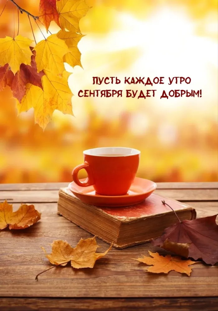 Бесплатные стикеры для WhatsApp: 8