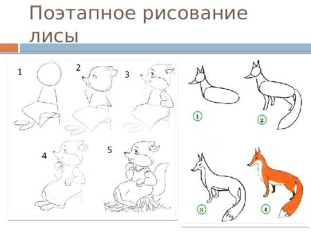 Рисунок лисы для детей карандашом поэтапно легко 