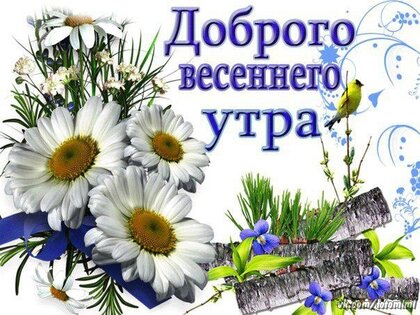 Картинки доброе утро воскресенья весна