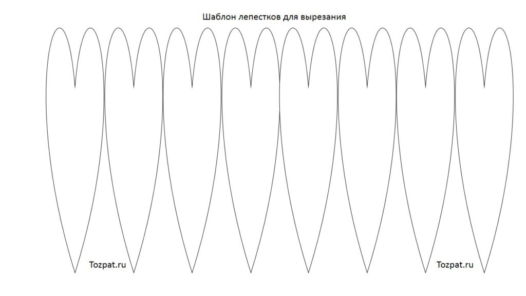 Шаблоны цветы 5 лепестков