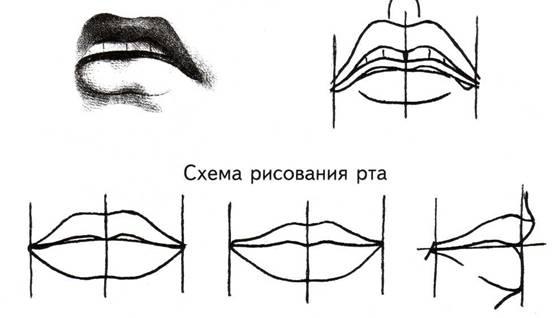 Как научиться правильно рисовать карандашом лицо человека на