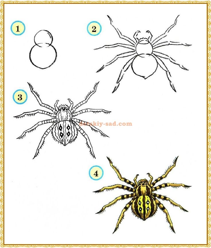 3Dуроки 3D рисунок паука! Как нарисовать паука