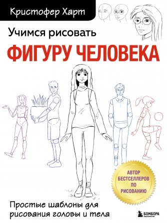 Курсы рисования для начинающих взрослых в Москве – Школа Перотти