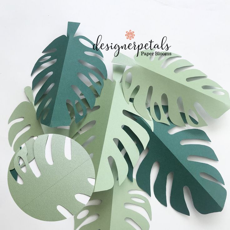 Monstera Leaf Plotter File Svg Dxf Png