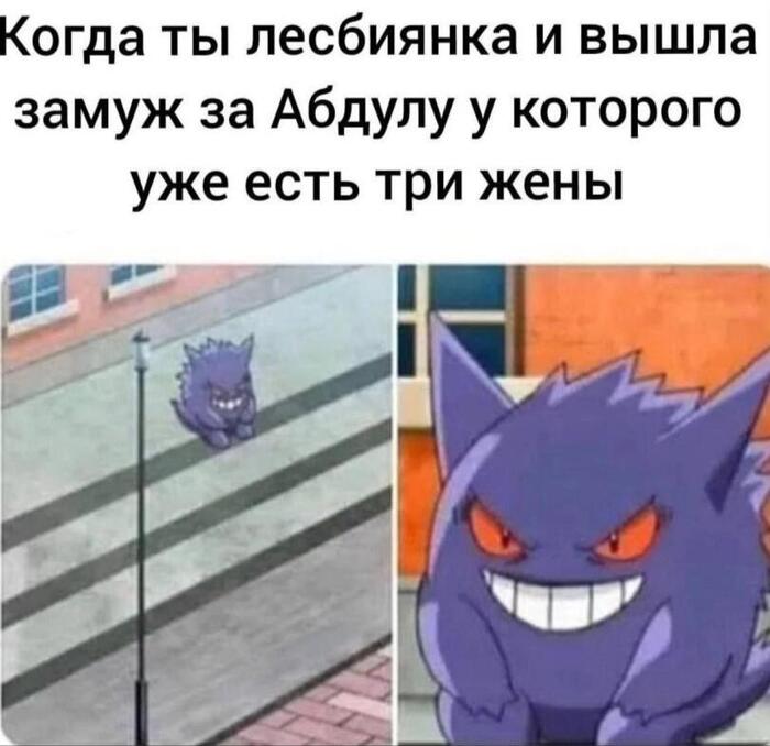 pokemon gen 9 cat meme : r/MandJTV