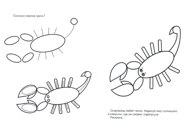 How To Draw Insects/Bugs