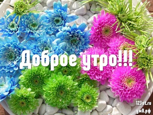 С добрым утром,друзья!👨‍🌾 | Екатерининский | Садовые