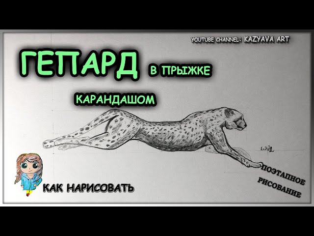 Как нарисовать Гепарда. Гуашь. Рисование с детьми