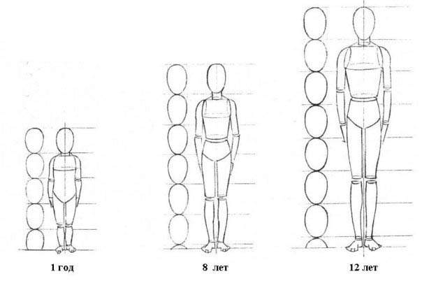 Уроки рисования фигуры человека.