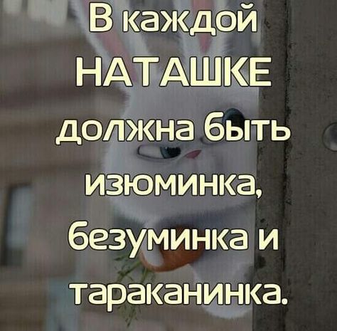 Рассказы региональных победителей четвертого сезона