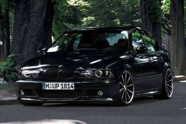 BMW e53, e53, x5, HD wallpaper | Peakpx