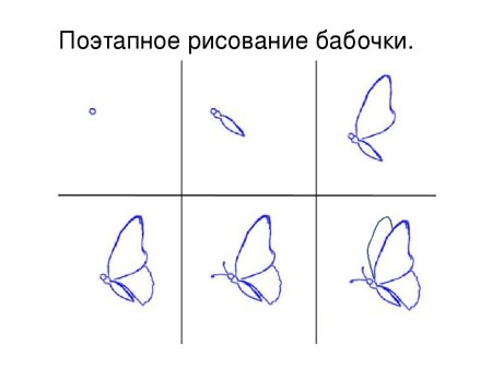 Как нарисовать бабочку на цветке, карандашом поэтапно?