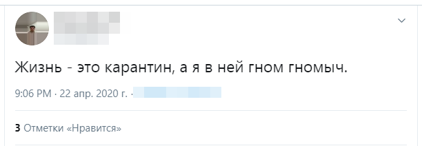 Гном Гномыч прорекламировал поправки в Конституцию. Плакала