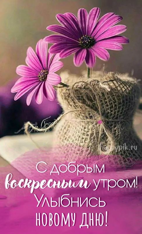 С ВОСКРЕСЕНЬЕМ — поздравления картинки 💐 Доброго утра, дня