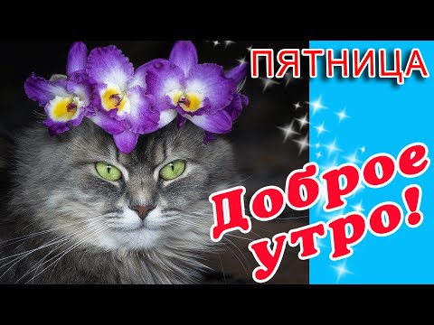 С добрым утром картинки и открытки