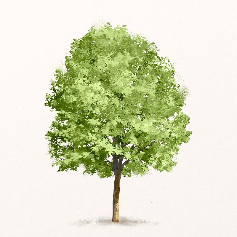 20,521,700+ Tree Stock Photos, Pictures