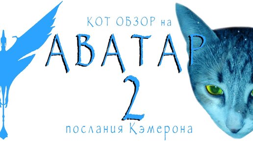 Небелунг Кот Аватар Породы Кошек — стоковая векторная графика