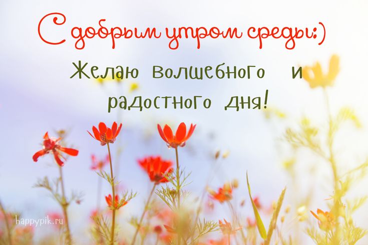 ВОТ и СРЕДА… 😘 — Картинки с добрым утром среды 🦋 — Гиф