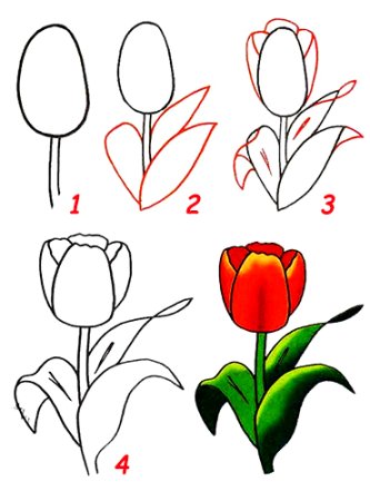 Как нарисовать букет цветов поэтапно