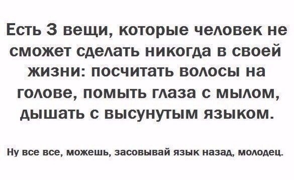 Ягодки, с добрым утром!🌲🌲🌲 | Ягодка