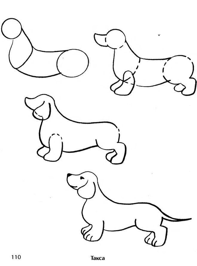 How to draw a DOG / cartoon coloring DOG for children