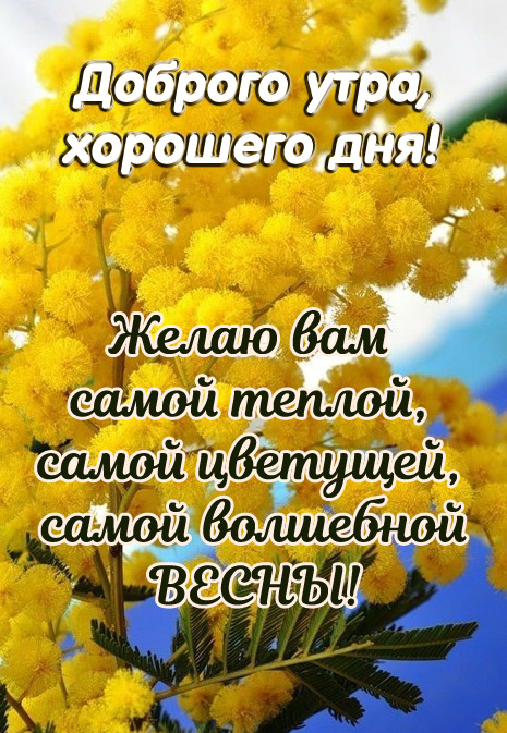 Красивые картинки Весна природа с