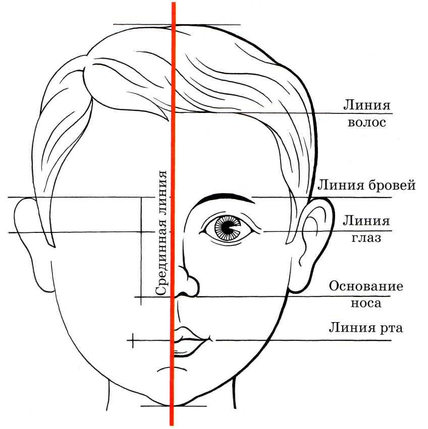 22.Учимся рисовать портрет