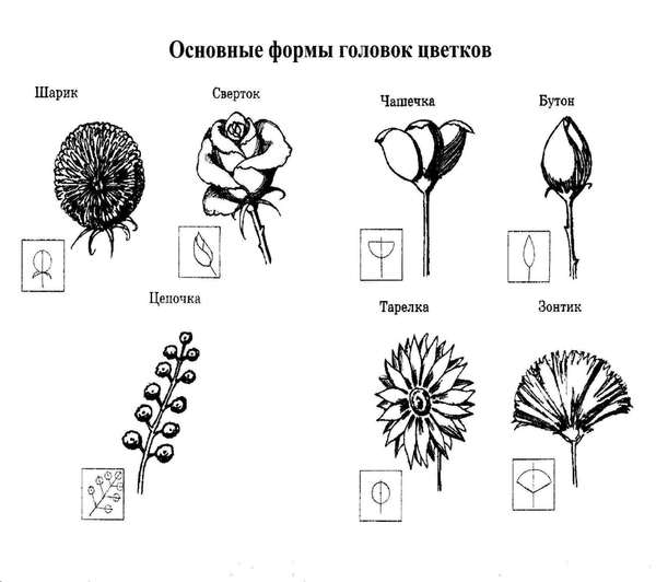 Презентация по изобразительному искусству на тему 