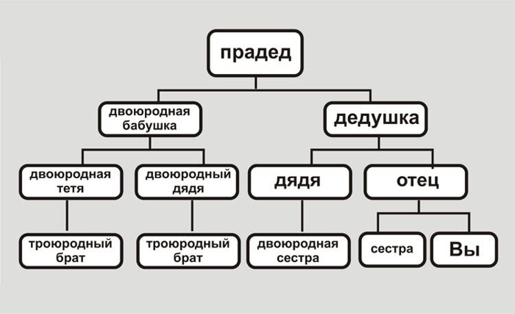 Родословное дерево