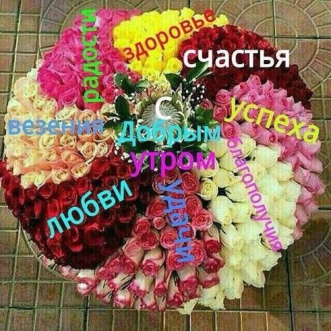 🌞🎄доброе утречко хорошего дня💗Желаю крепкого здоровья