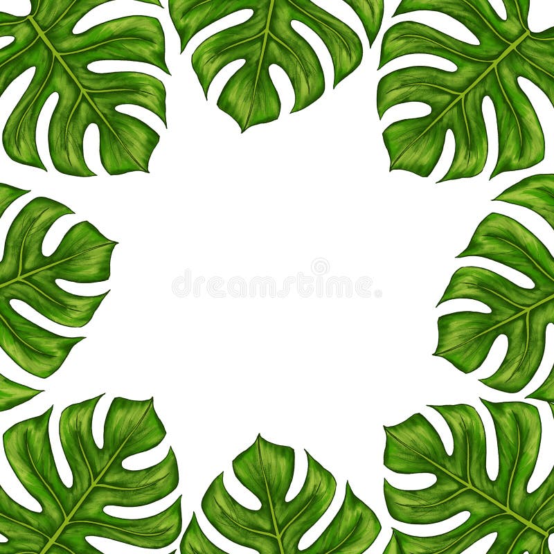 Monstera Leaf Acrylic Router Template