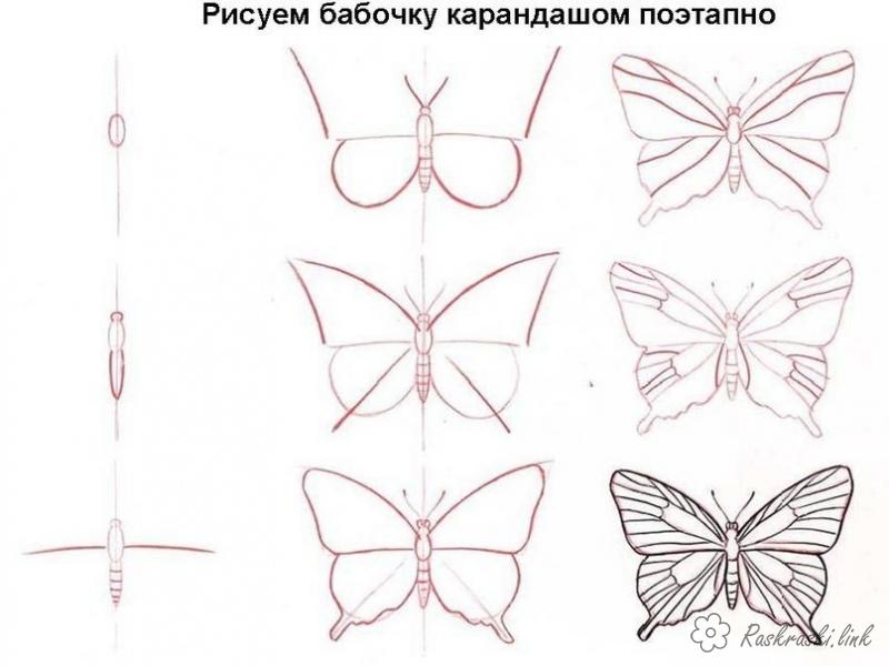 Поэтапное рисование кузнечика