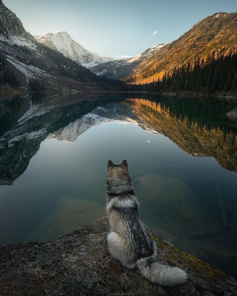 Больше 1 200 000 бесплатных фотографий на тему «Природа» и