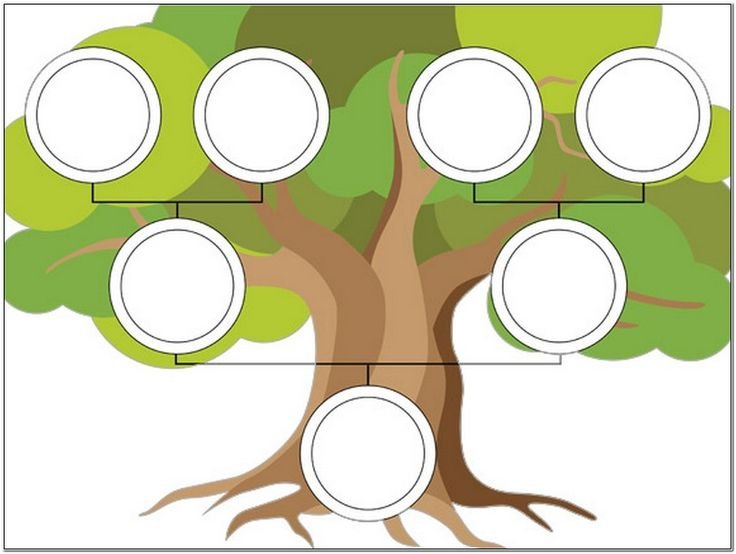 Как составить генеалогическое древо семьи — шаблоны и советы
