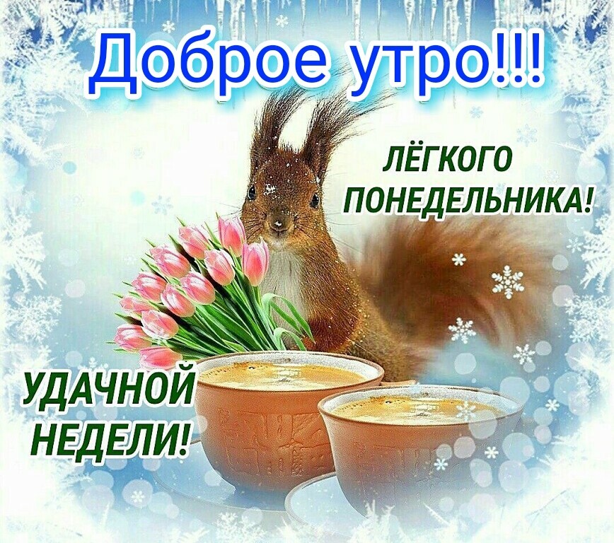 Картинки удачной недели 