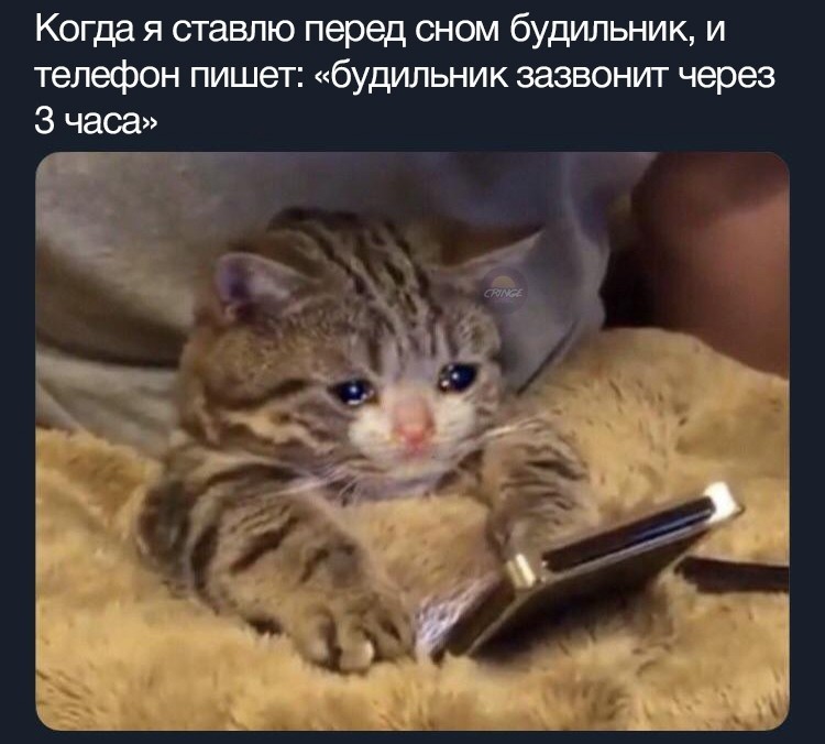 Картинка смешная, а ситуация страшная : r/Pikabu