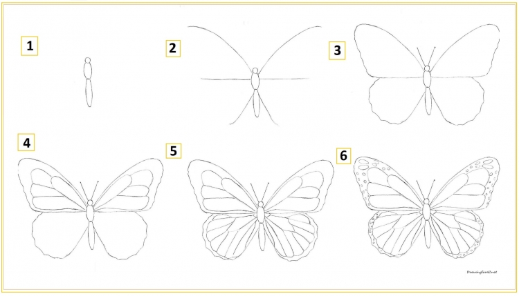 Идеи для срисовки бабочка на цветке легкие 