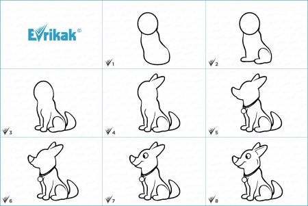 Как рисовать собаку? «Чихуахуа». Рисунок карандашом