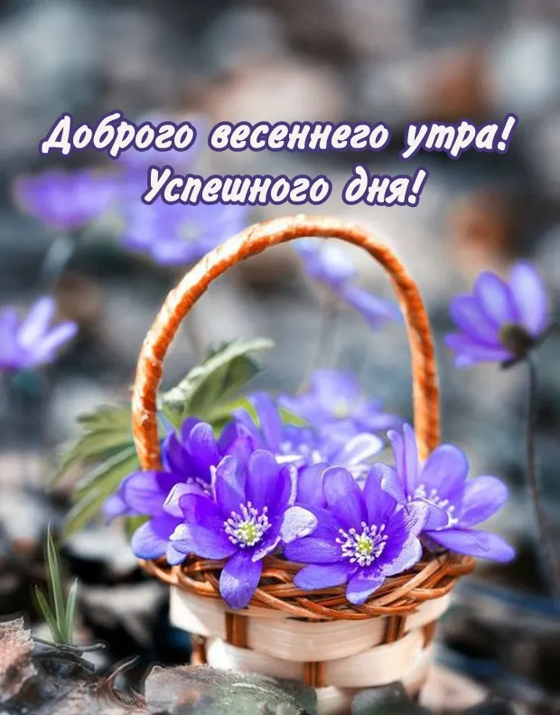 С Добрым Утром! ☕🌹Красивейшие Пожелания