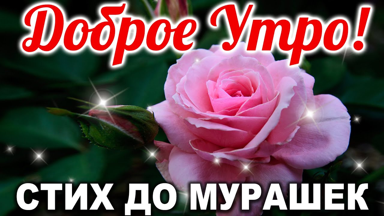 Доброе утро!