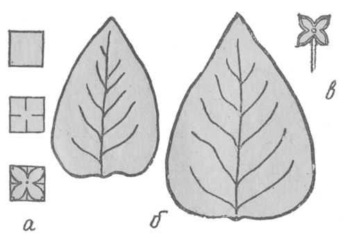 Dorica Petaled лист дизайн направи си сам пластмасов шаблон