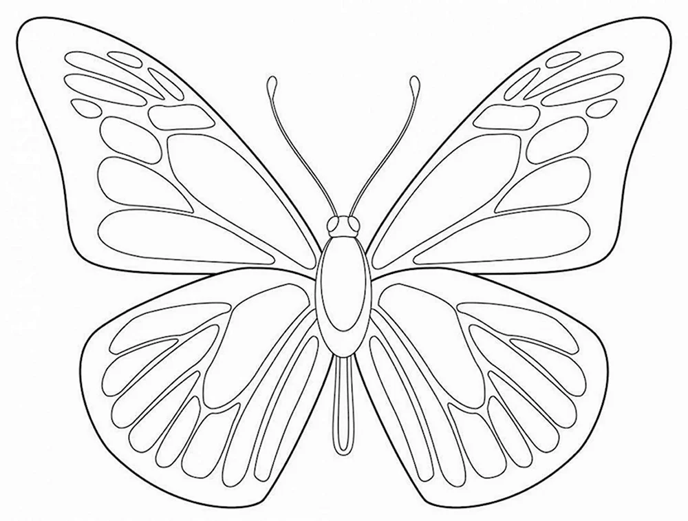 Раскраски бабочки, Раскраска Контур бабочки контуры для