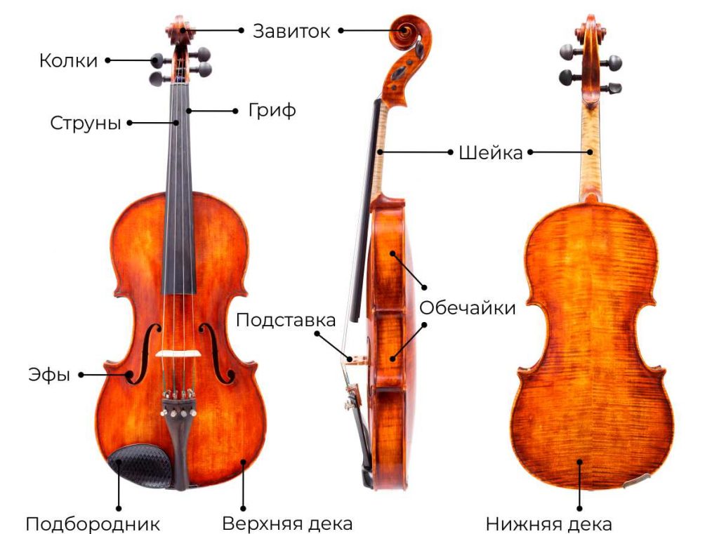 История королевы музыки — скрипки.