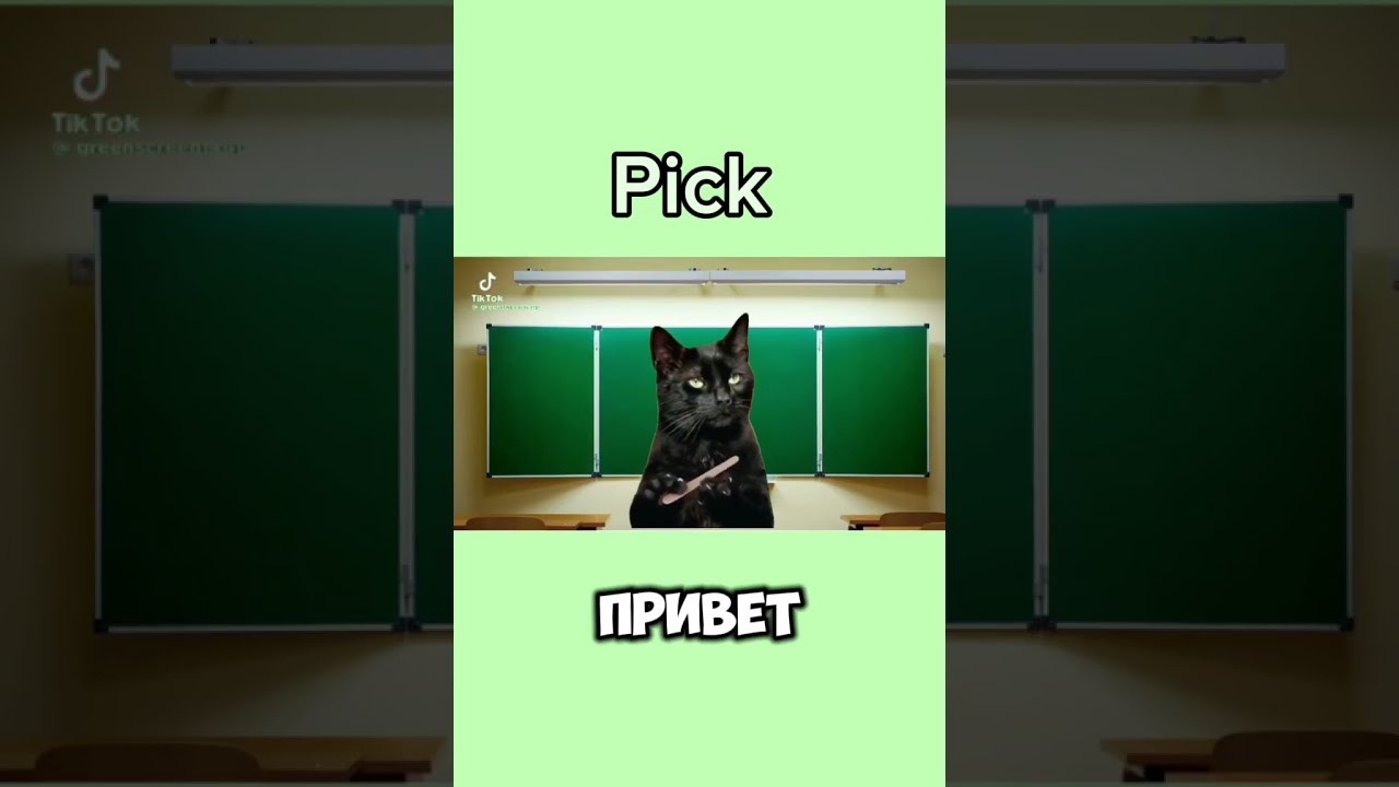 Мой Уровень Английского Прикол | TikTok